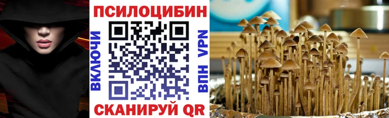 Галлюциногенные грибы GOLDEN TEACHER  купить наркотики цена  Шахунья 